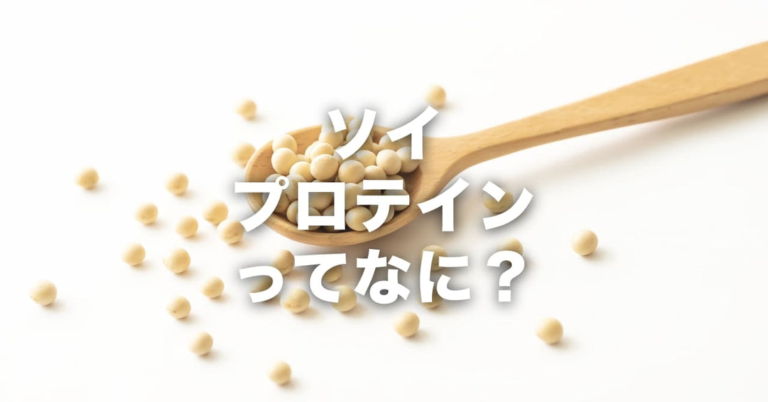 ソイプロテインってなんですか?