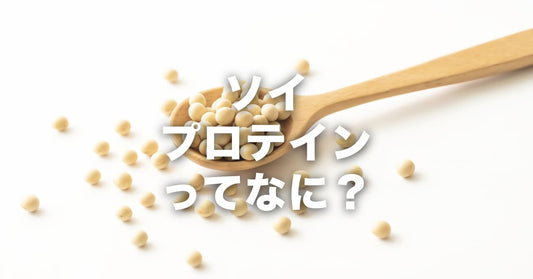 ソイプロテインってなんですか?