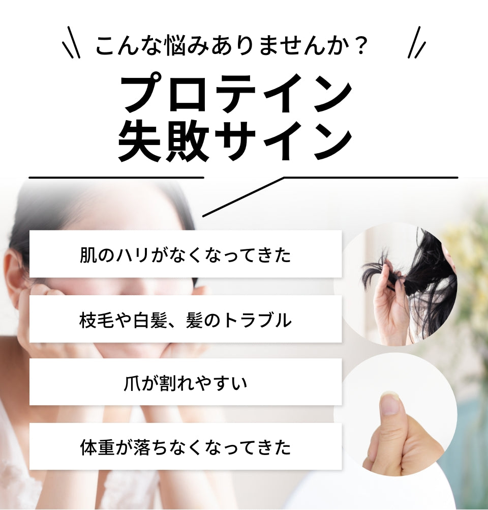 【定期】低糖質プロテインスープ400g