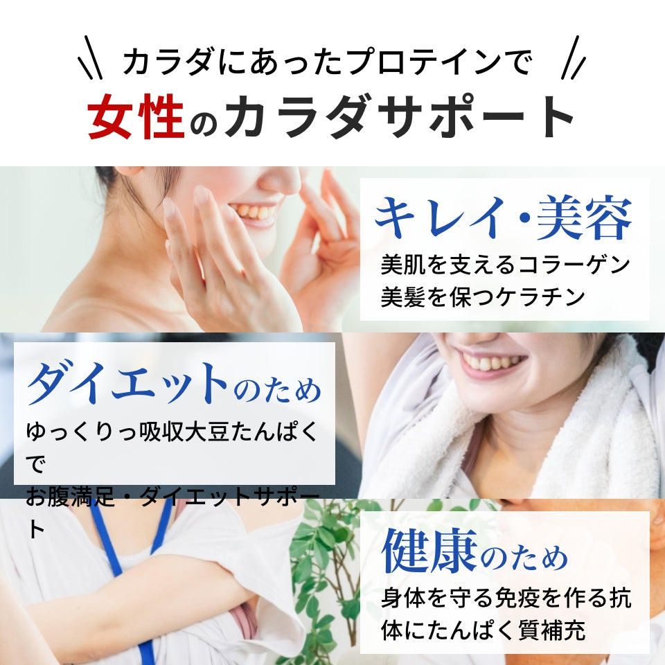 【定期】低糖質プロテインスープ400g