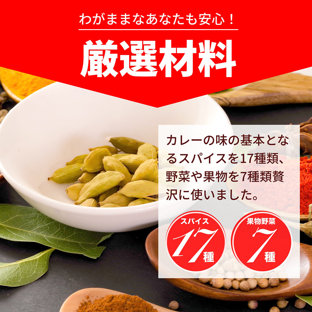 本格プロカレー400g