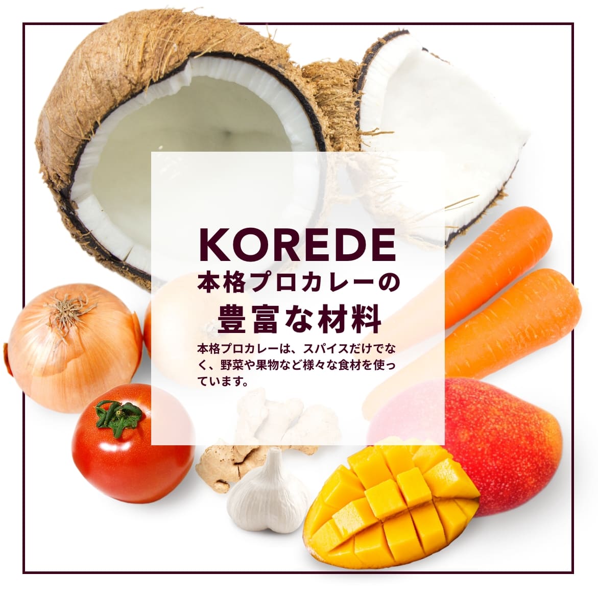 【定期】本格プロカレー1個